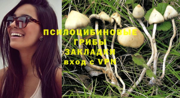 хмурый Богданович