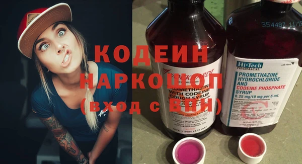 спиды Бородино
