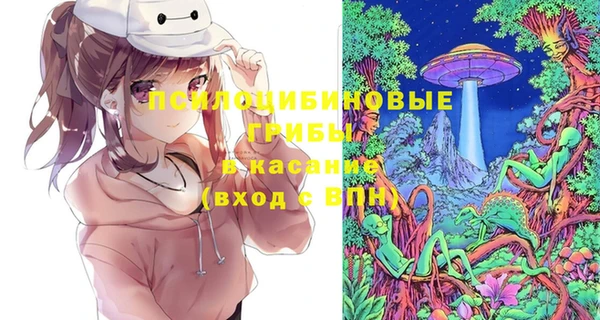 соль курить ск Богородицк