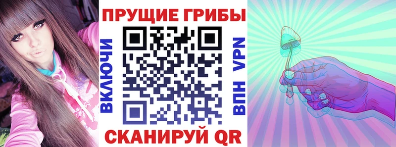 наркота  Безенчук  Псилоцибиновые грибы MAGIC MUSHROOMS 
